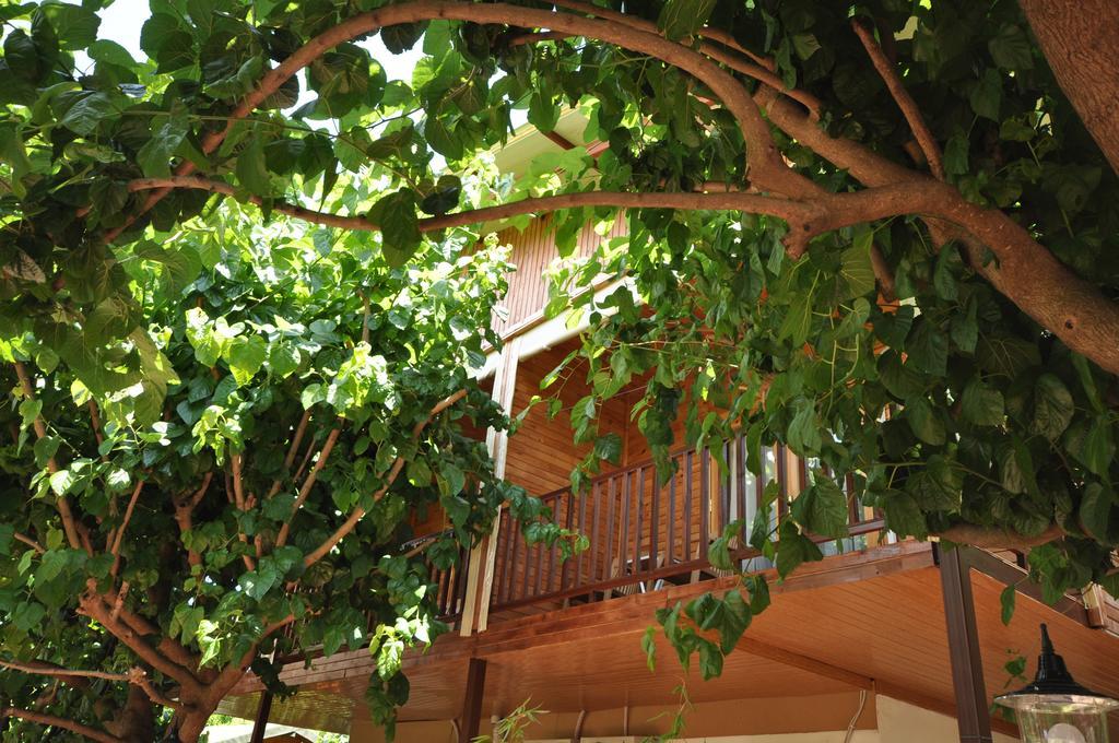 Cesur Pansiyon Cirali Exterior foto