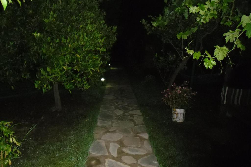 Cesur Pansiyon Cirali Exterior foto
