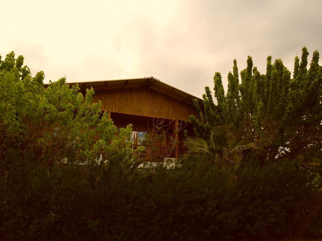 Cesur Pansiyon Cirali Exterior foto